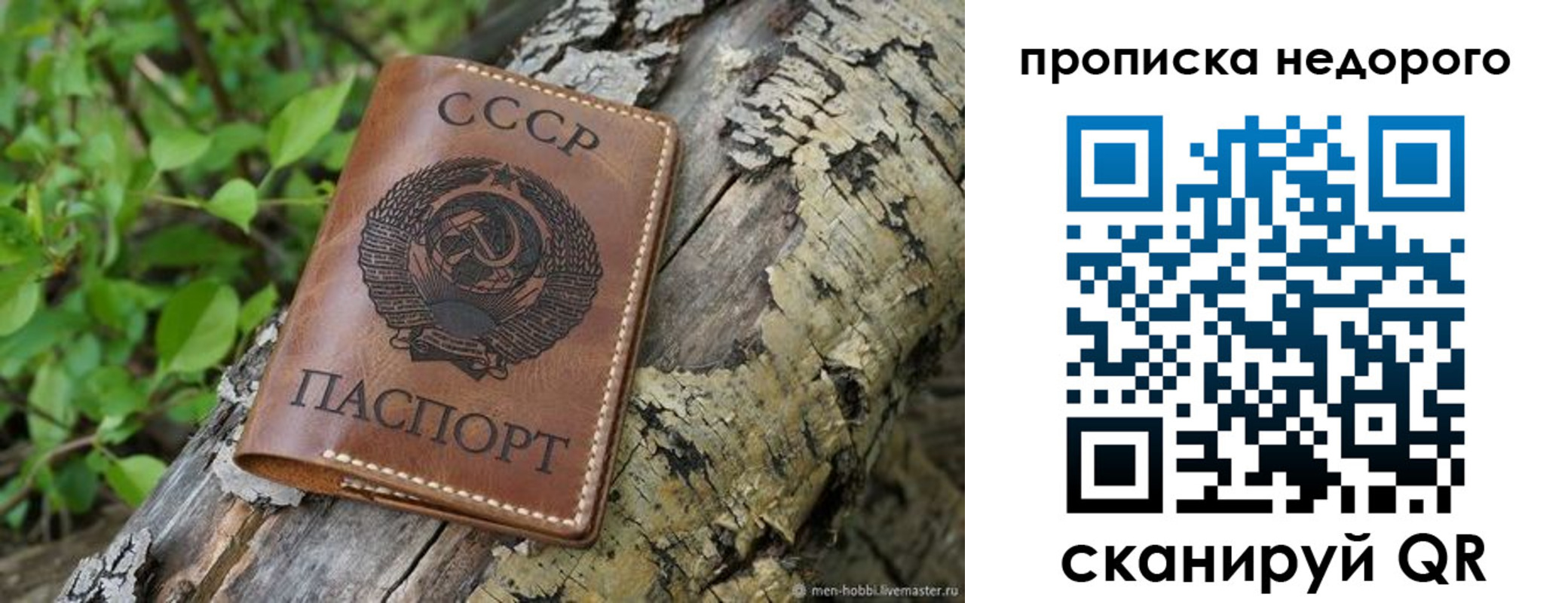 временная регистрация поиск в Магадане